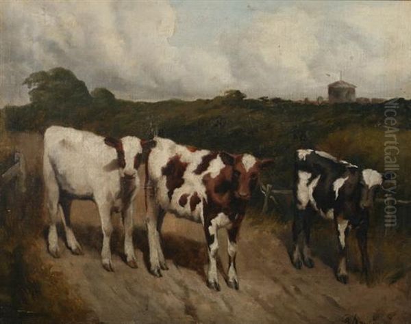 Cows On Path In Meadow - view 1