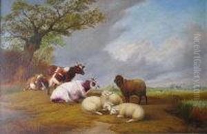 Cattle And Sheep By A Pool In A Wooded Landscape by G. Davis