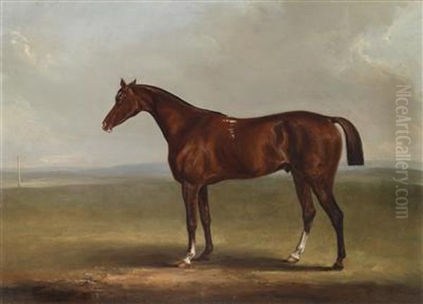 Bay Horse In A Landscape - view 1