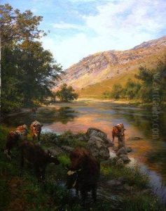 "in The River Bed "in The River Bed