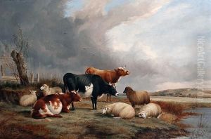 Cows And Sheep Resting By A River