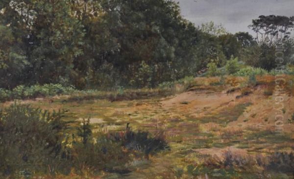 Heathland Scene - view 1