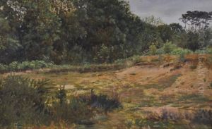 Heathland Scene by Valentine, Val Davis