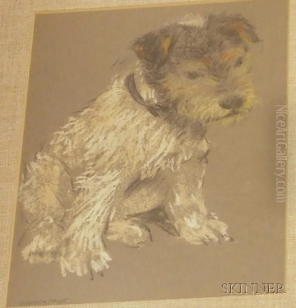 Terrier - view 1