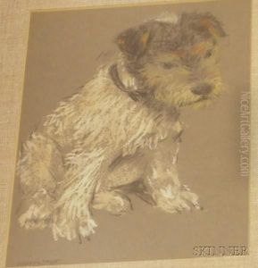 Terrier Terrier