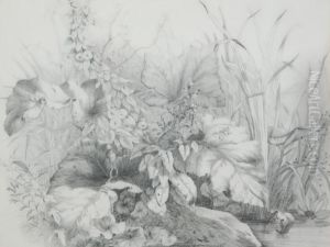 Study Of Wild Plants by William Davis