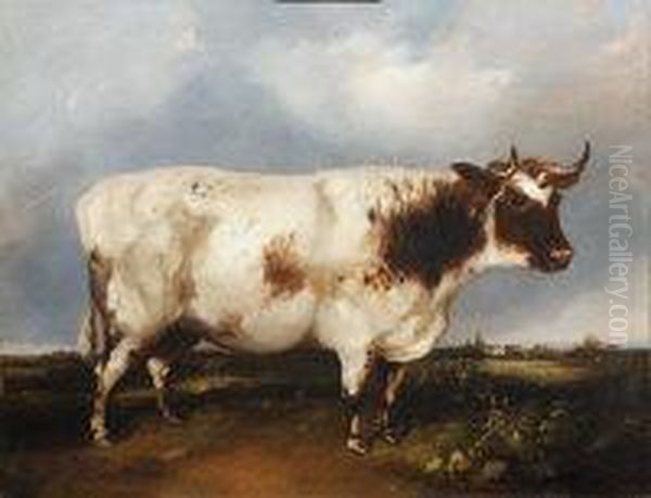 Portrait Of A Prize Bull - view 1