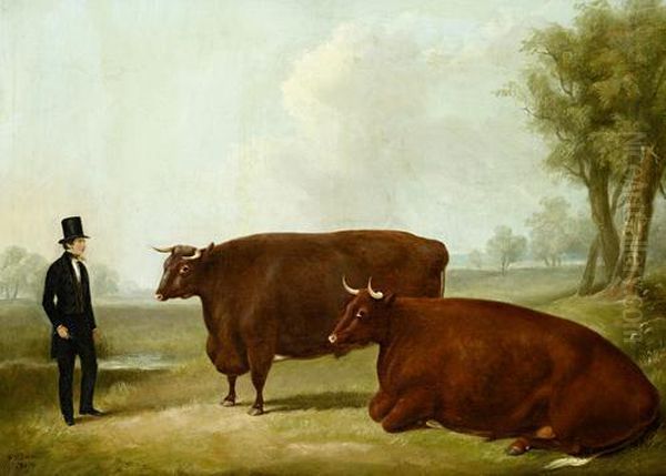 A Landowner And Two Cows In A Field - view 1