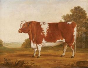 Hereford Bull by William Henry Davis