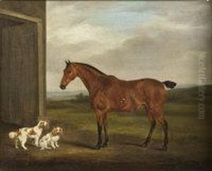 Study Of A Horse With King Charles Spaniels