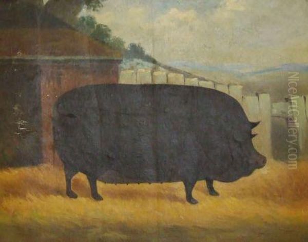 A Prize Pig - view 1