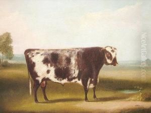 Portrait Of A Cow Standing In A Landscape; Oil On Canvas by William Henry Davis