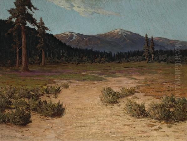 A Sunlit Path With Mountains Beyond - view 1