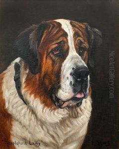 "stapleford Lady", Portrait Of A St.bernard