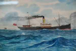 S.s Karatta - Cape Jarvis by Frederick Dawson