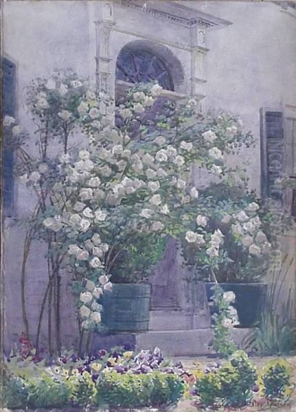 ''century Old Cottage Roses''- - view 1