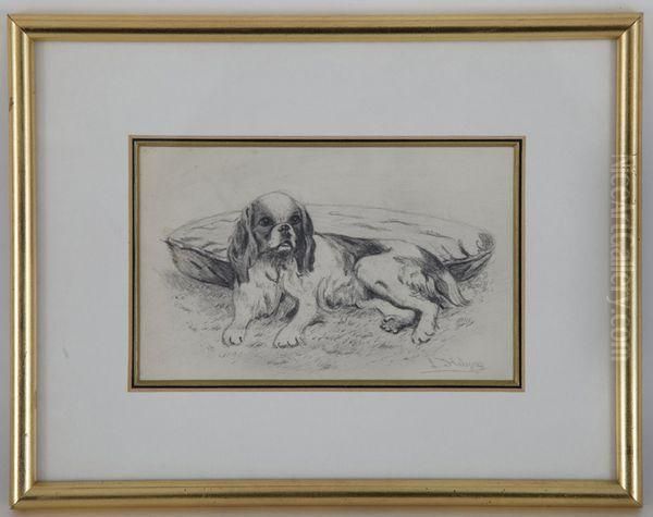 Portraits De Chiens - view 1
