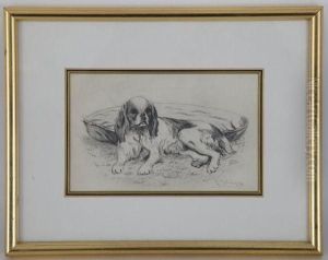 Portraits De Chiens by Lucy Dawson