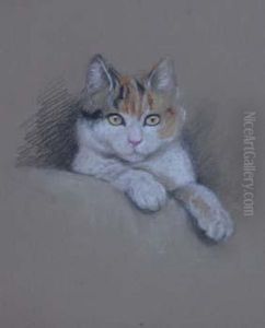 Four Cat Studies by Lucy Dawson