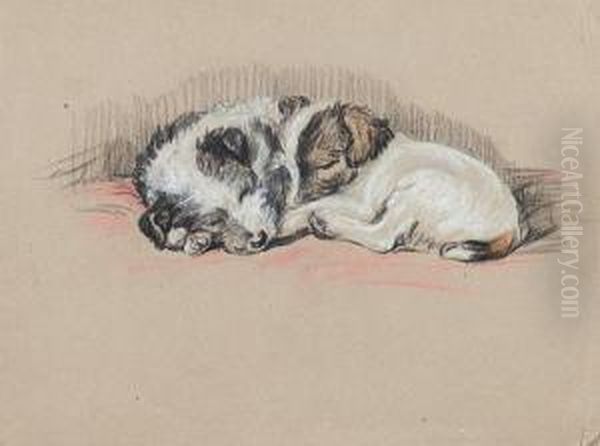 Mike & Jim - Wire-haired Terrierpuppies - view 1