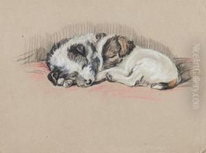 Mike & Jim - Wire-haired Terrierpuppies by Lucy Dawson