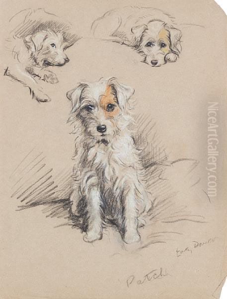 'patch' - A Wire-haired Terrier - view 1