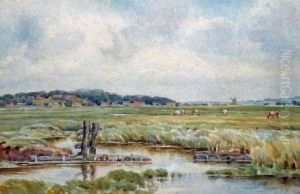 Norfolk by Francis Day