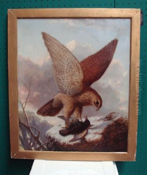 Hawk With Sparrow - view 1