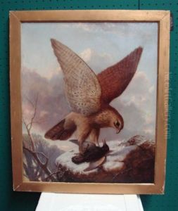 Hawk With Sparrow
