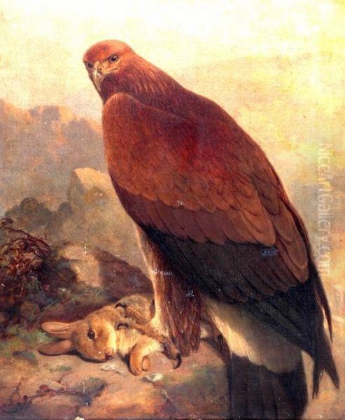 An Eagle With A Rabbit - view 1
