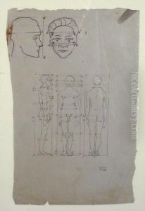 Etude Anthropometrique