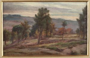 Paisagem
