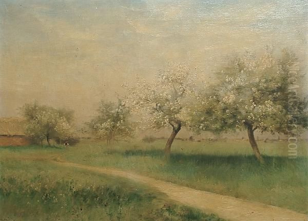 A Path Through An Orchard - view 1