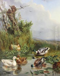 Ducks In A Landscape by Henri De Beul