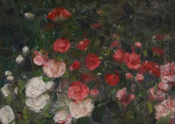Composition Aux Roses - view 1