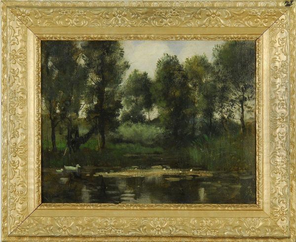 Duck Pond - view 1