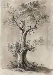 Study Of A Blasted Tree by Jean-Jacques De Boissieu