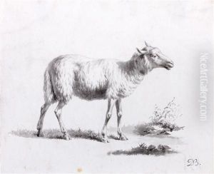 Etude De Mouton by Jean-Jacques De Boissieu