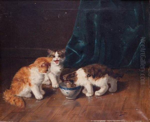 Les Chats - view 1