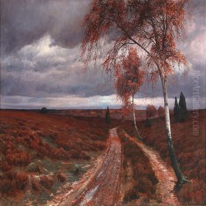 Moor Landscape On A Dark Autumn Day