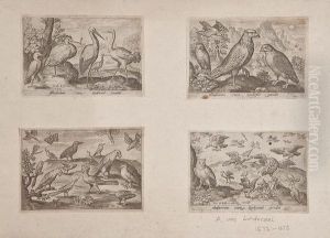 Volatilium Varii Generis Effigies by Nicolaes De Bruyn