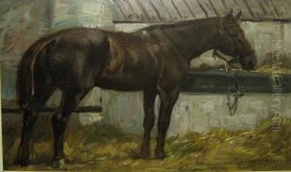 Paard In De Stal - view 1