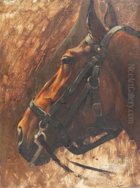 Horse's Head. - view 1