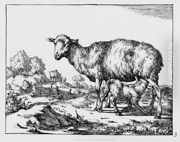 Die Folge Der Schafe - view 1