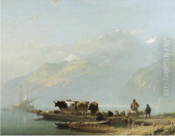 Cattle Raft - view 1