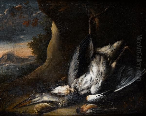 A Dead Crane And Other Birds Before An Openlandscape - view 1