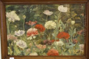 Papavers Papavers