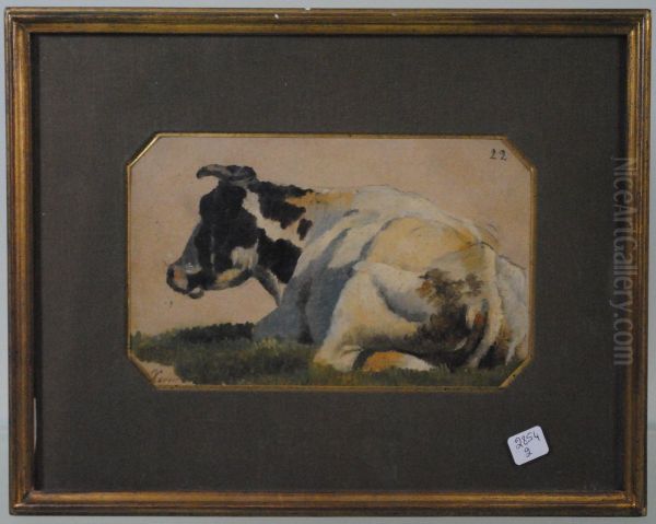 Vache Au Repos - view 1