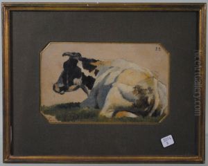 Vache Au Repos