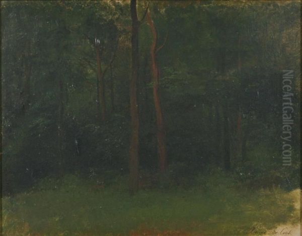 Study For Wooded Landscape - view 1